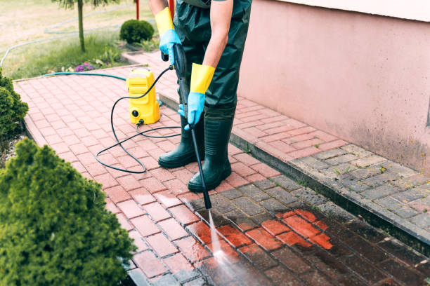 Best Driveway Pressure Washing  in Wolfe City, TX