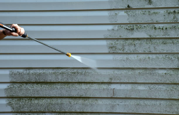 Solar Panel Cleaning in Wolfe City, TX