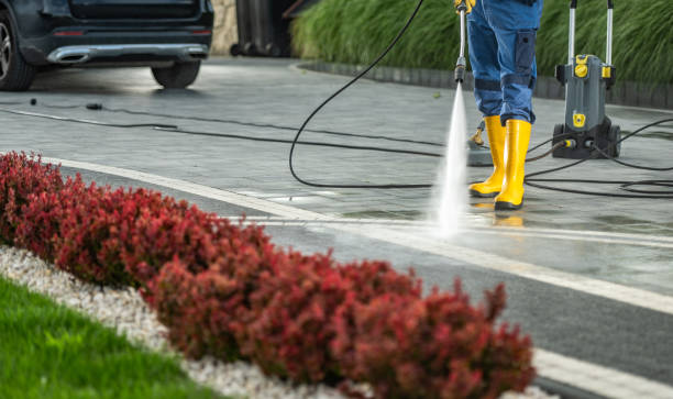 Trusted Wolfe City, TX Pressure Washing Services Experts